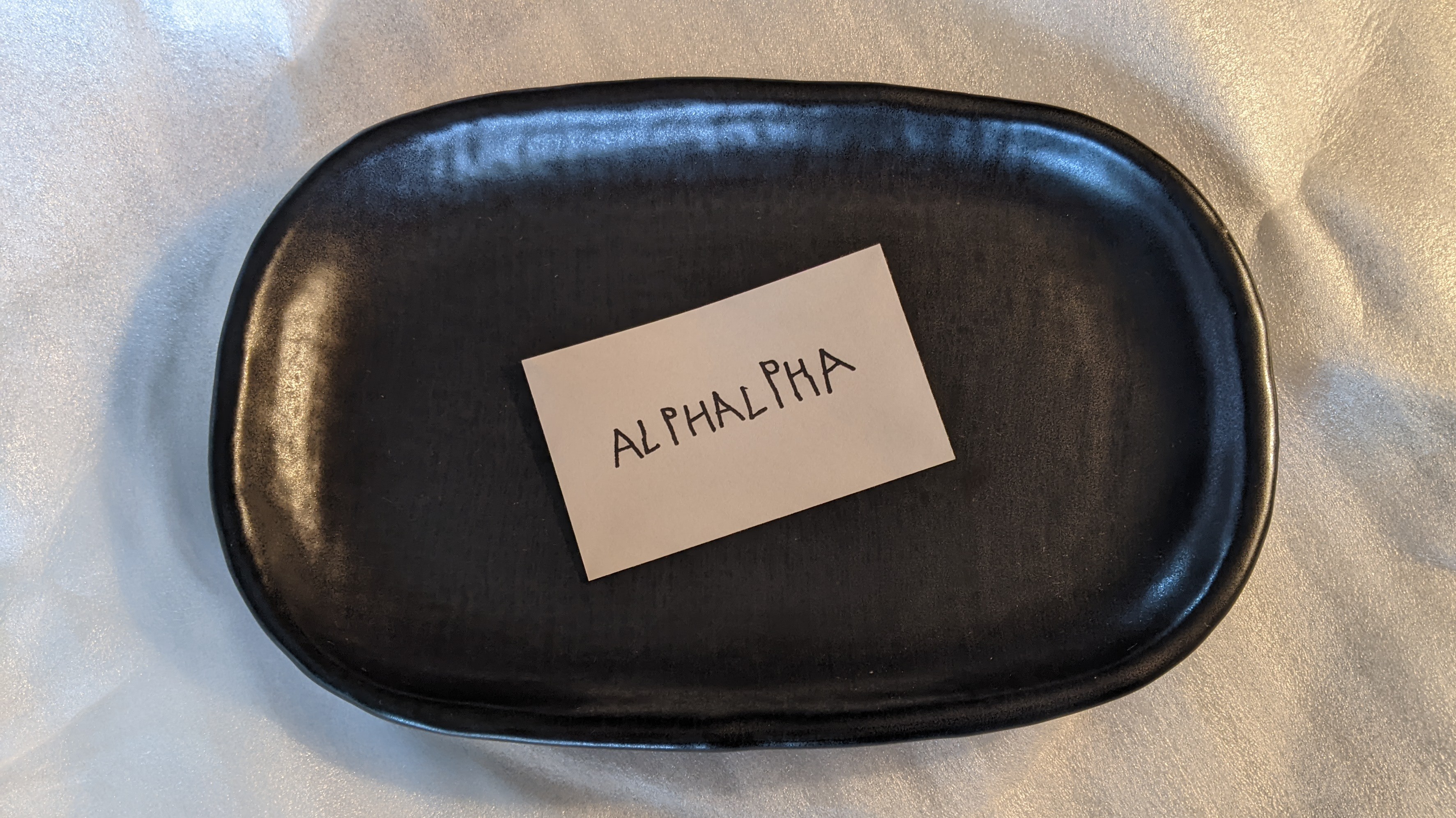 dark ceramic valet tray