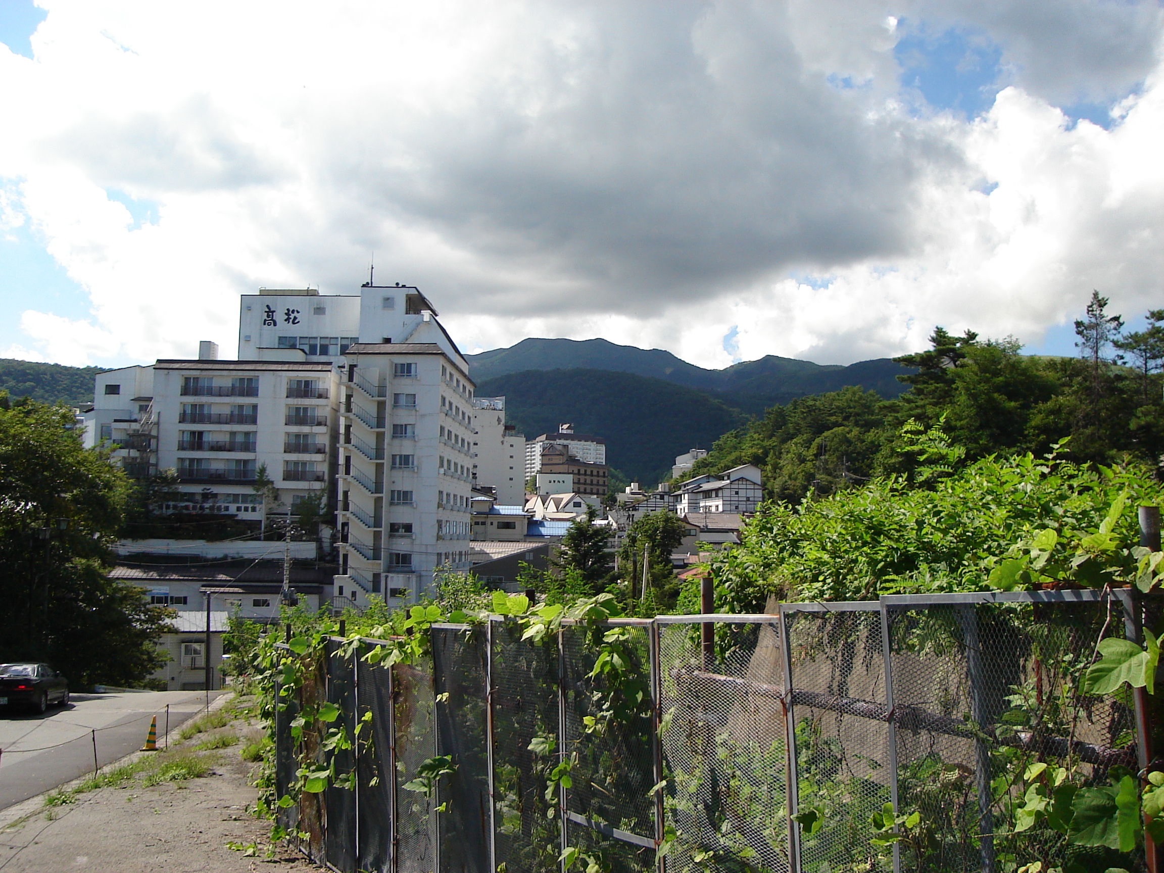 a tree-lined road to the centre of town with buildings and mountains in the distance