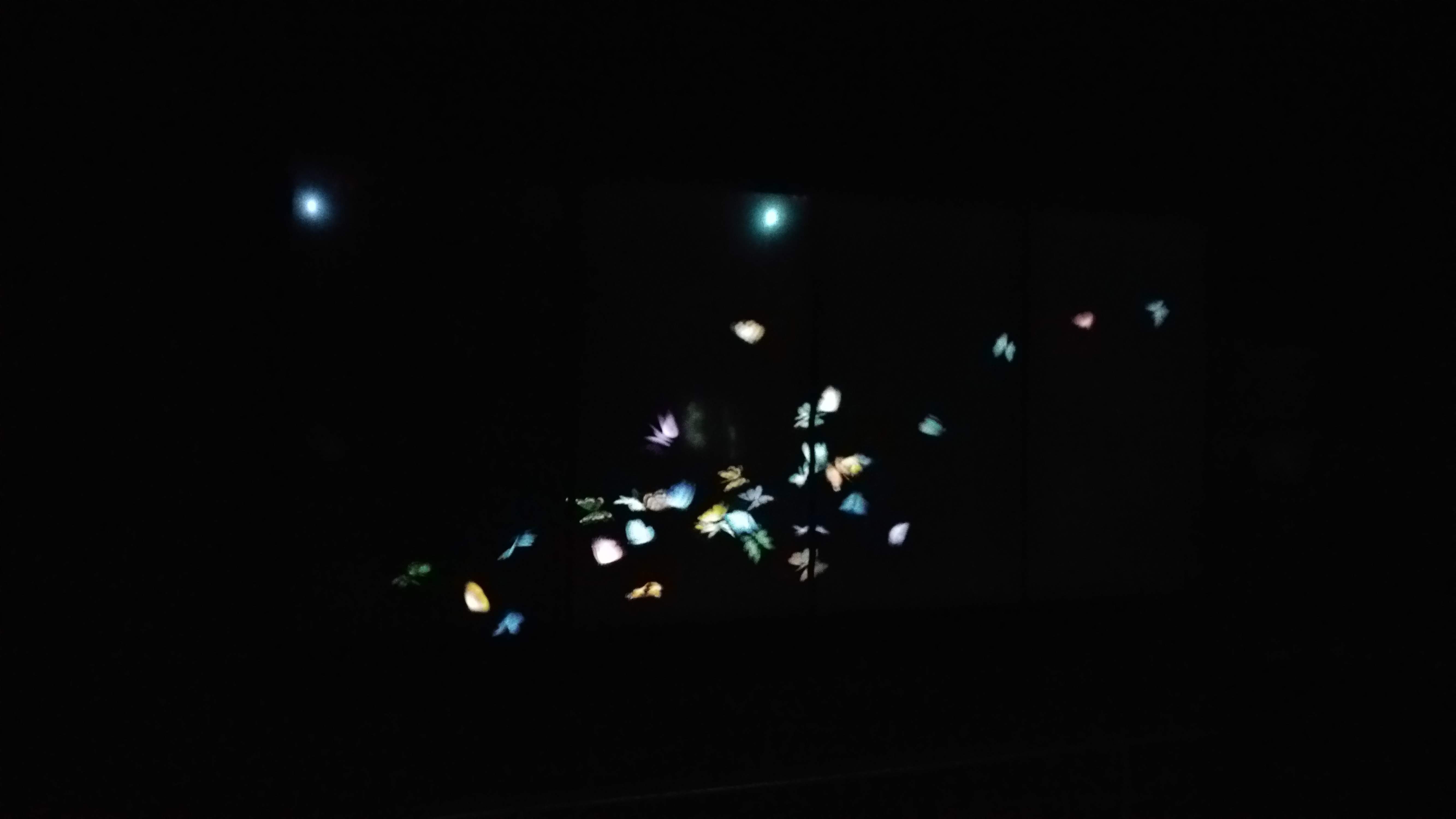 a large group of animated butterfiles projected on a black wall