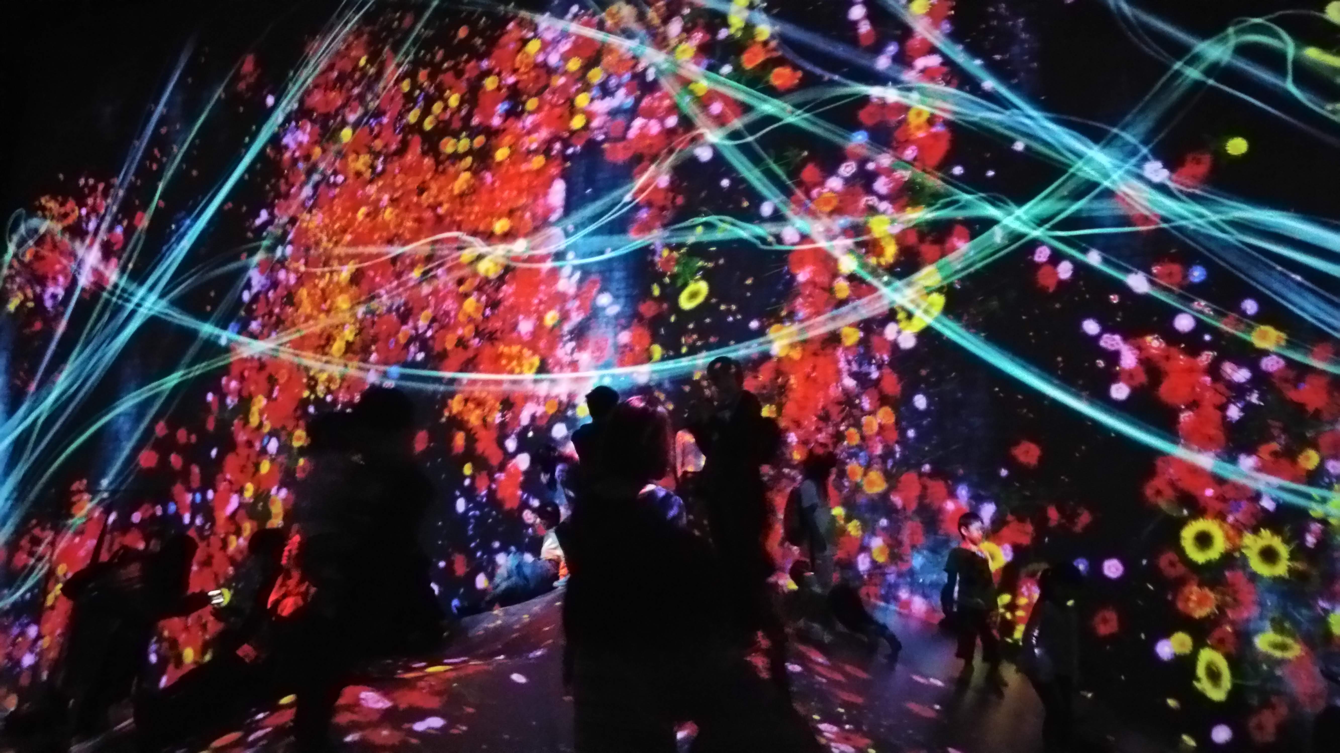 flowers projected in a dark room with ribbons of green light