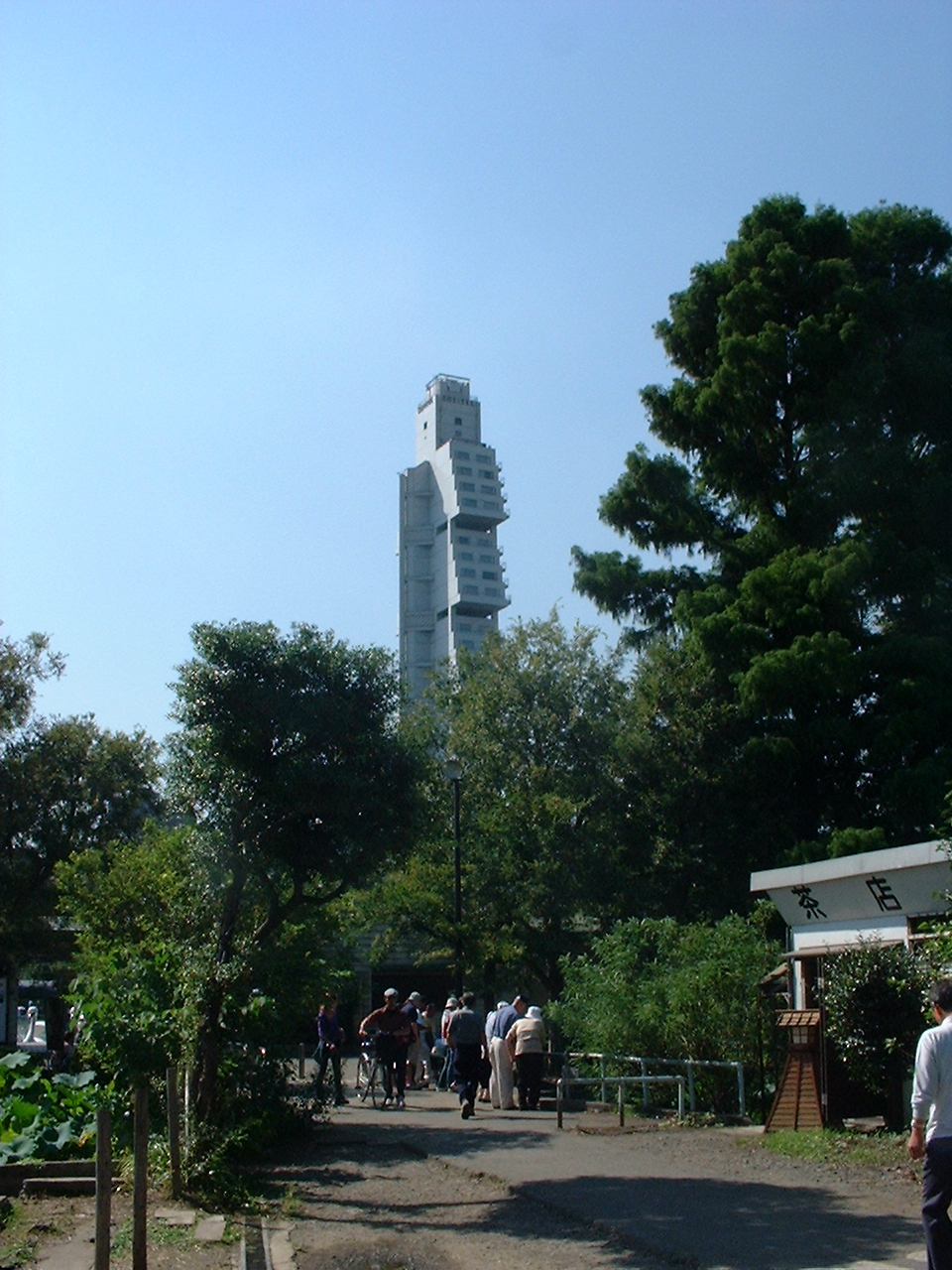 a tall building is visible behind trees