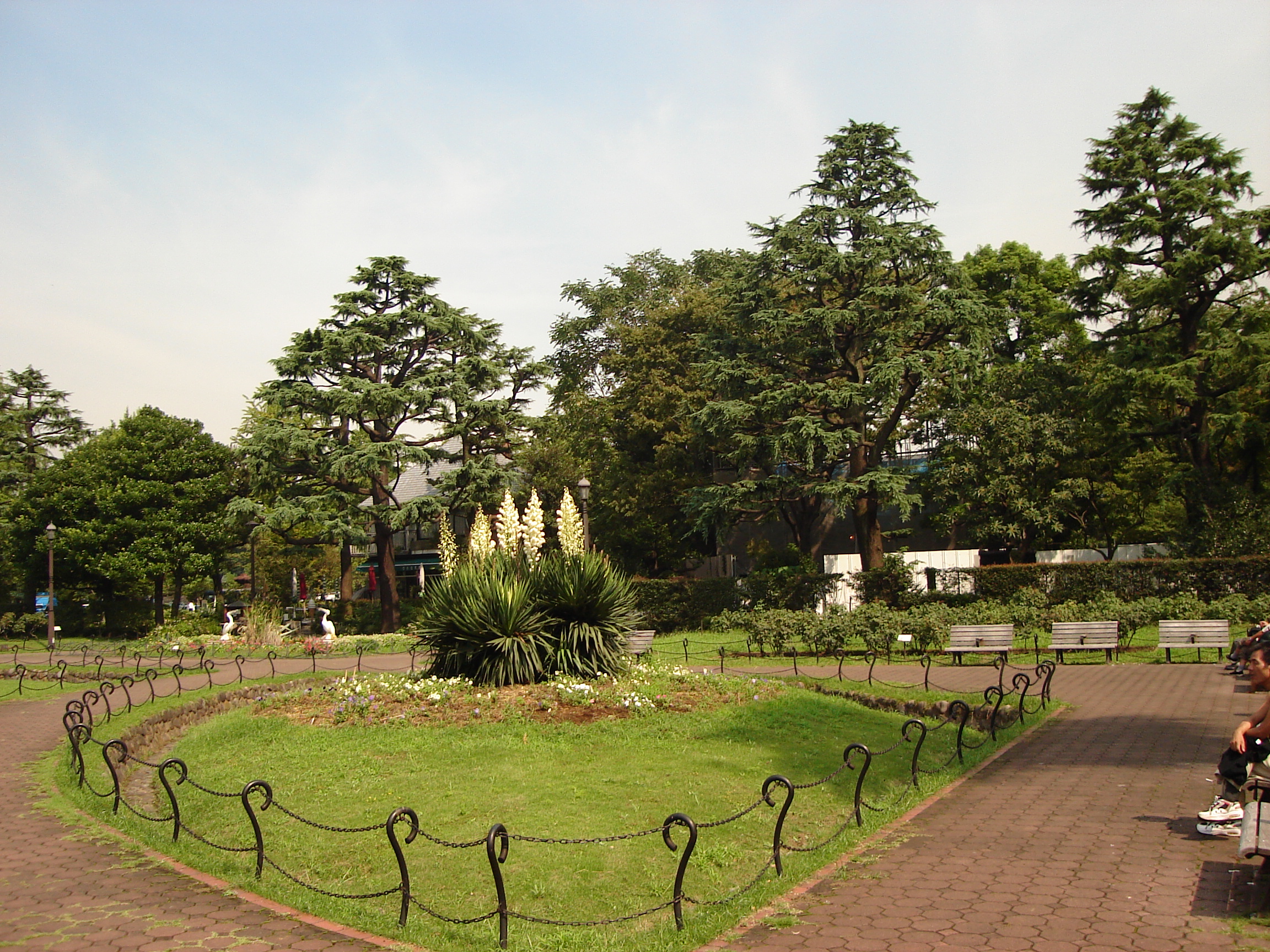 a fenced off area with a large plant in the center