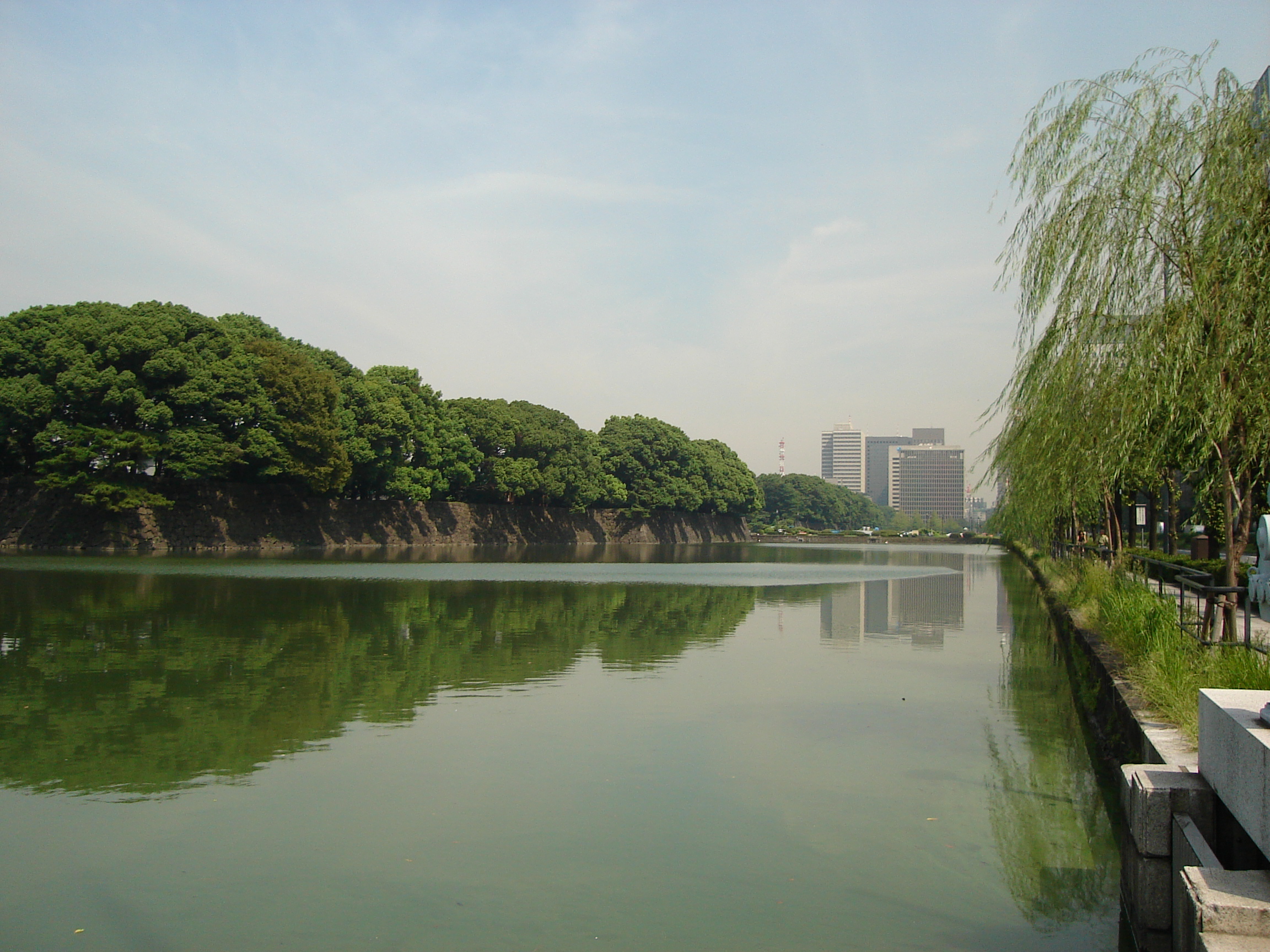 the moat with the garden walls in the distance with treetops visible