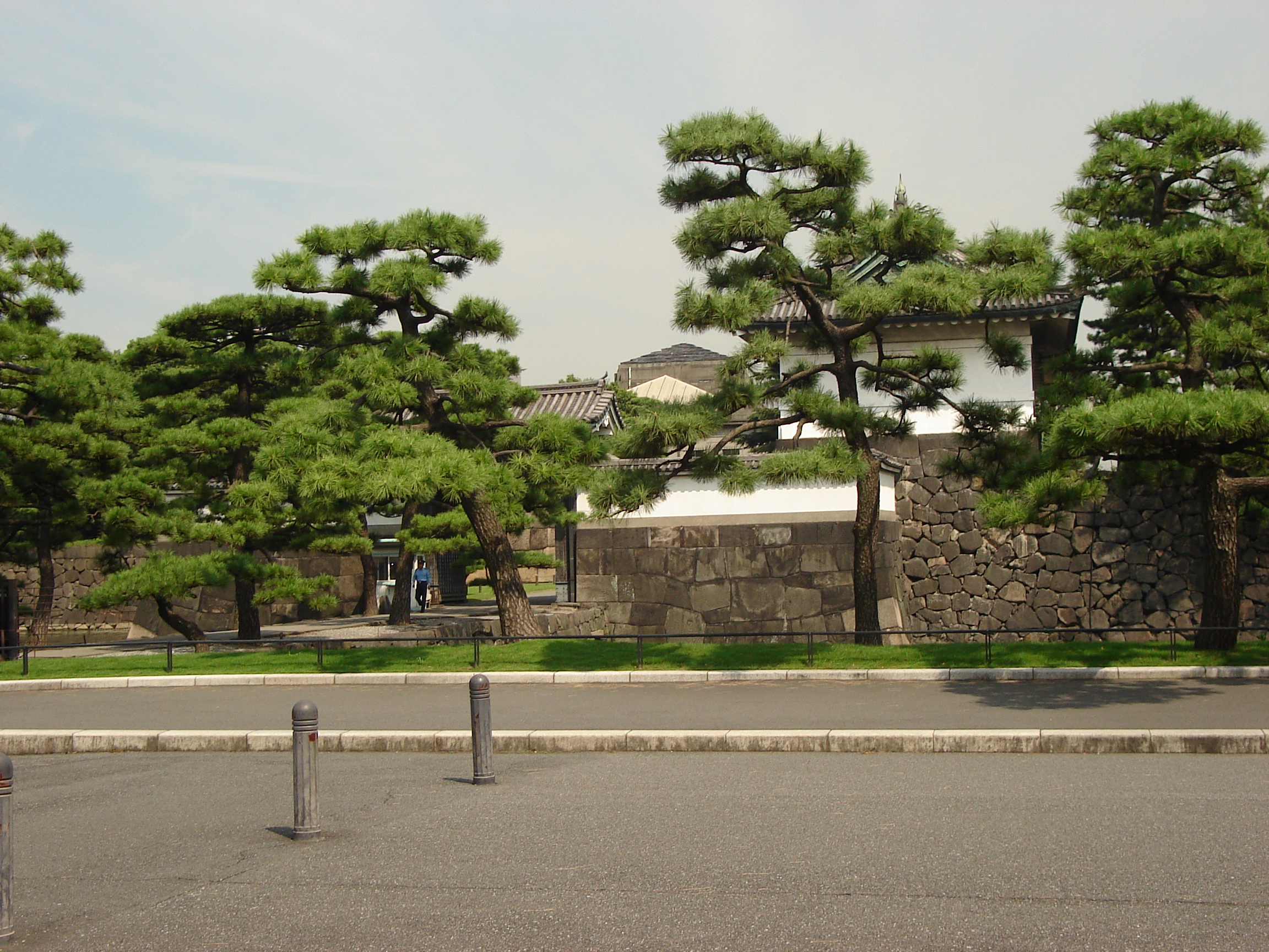 one of the garden's buildings through thin manicured trees