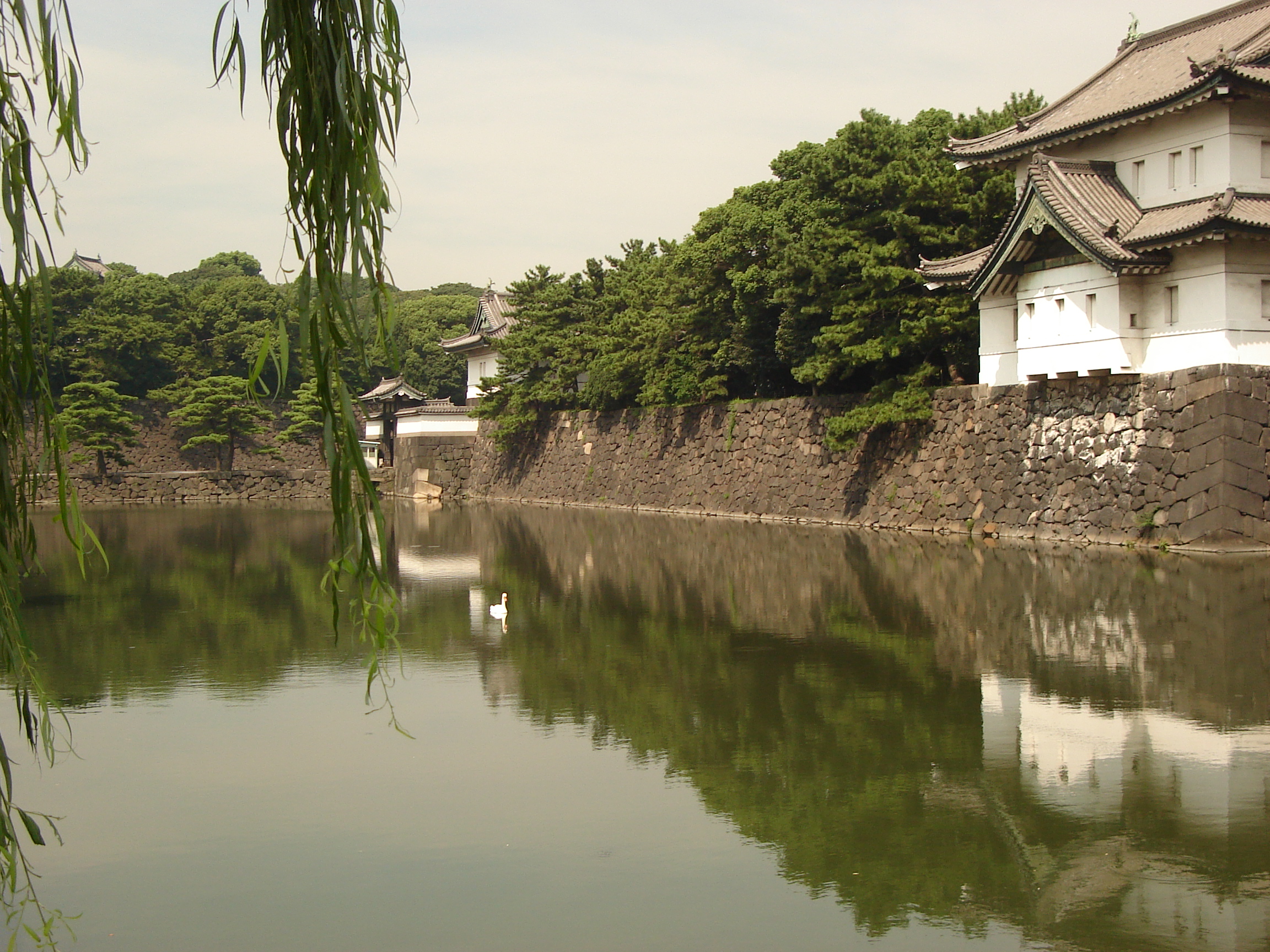 a view of the wall and part of a building reflected in the moat