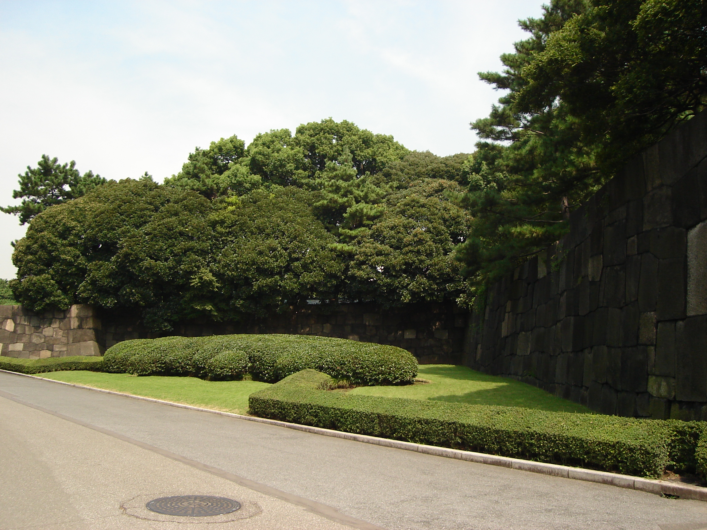 low manicured hedges and trees