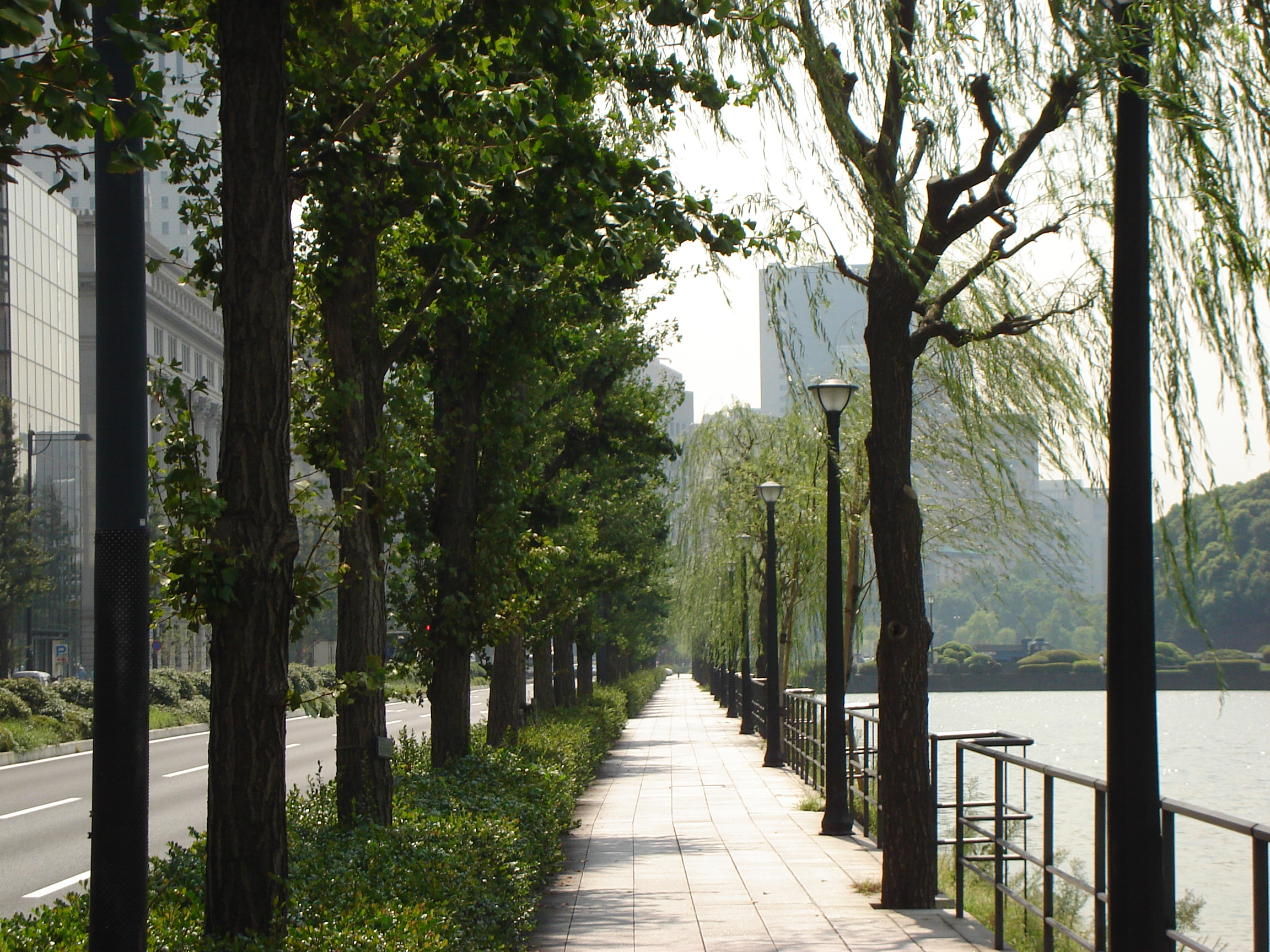 trees line the sidewalk along the outside of the moat