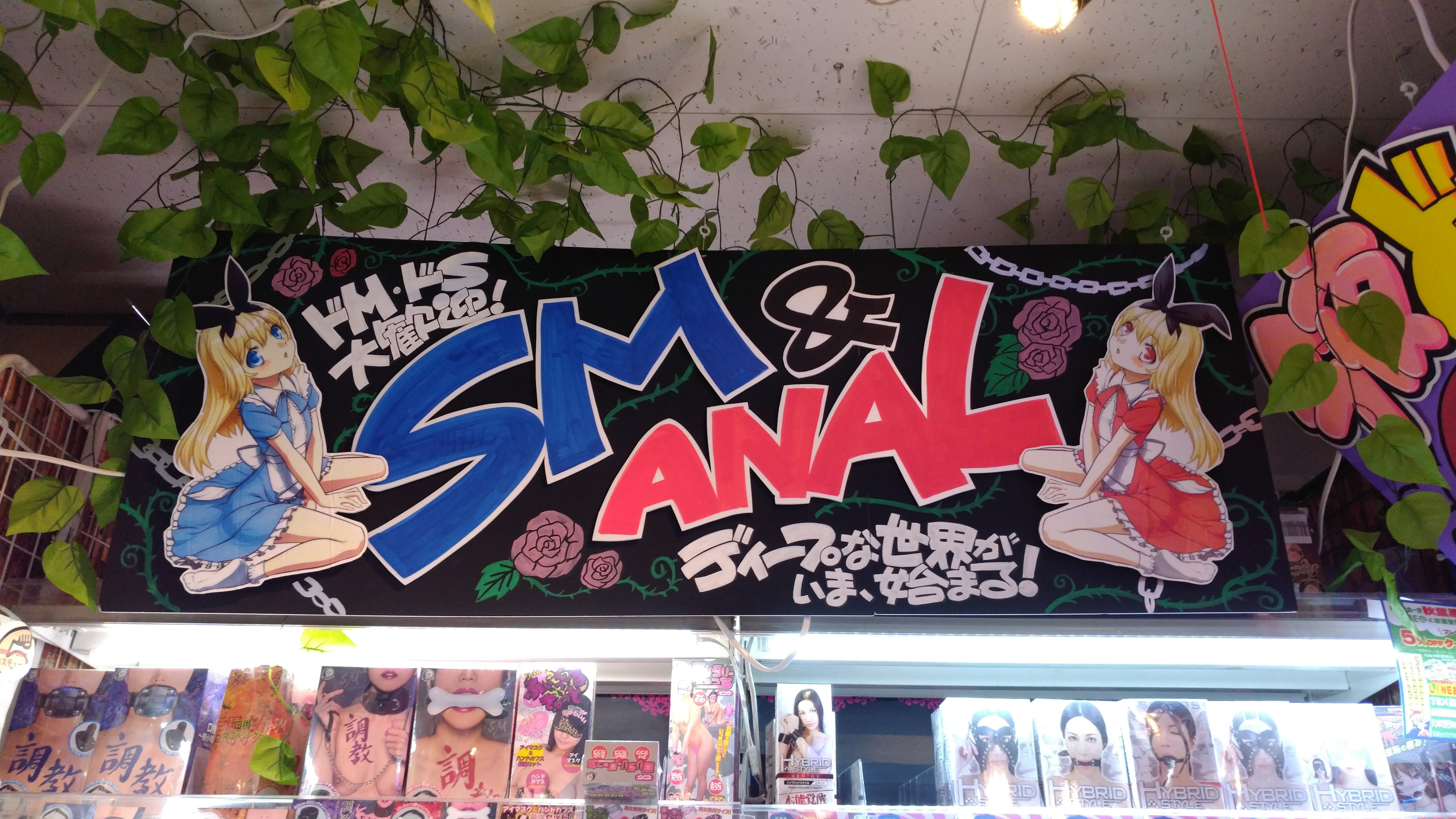 a hand-drawn sign with lolita style illustrations of women that says SM & Anal