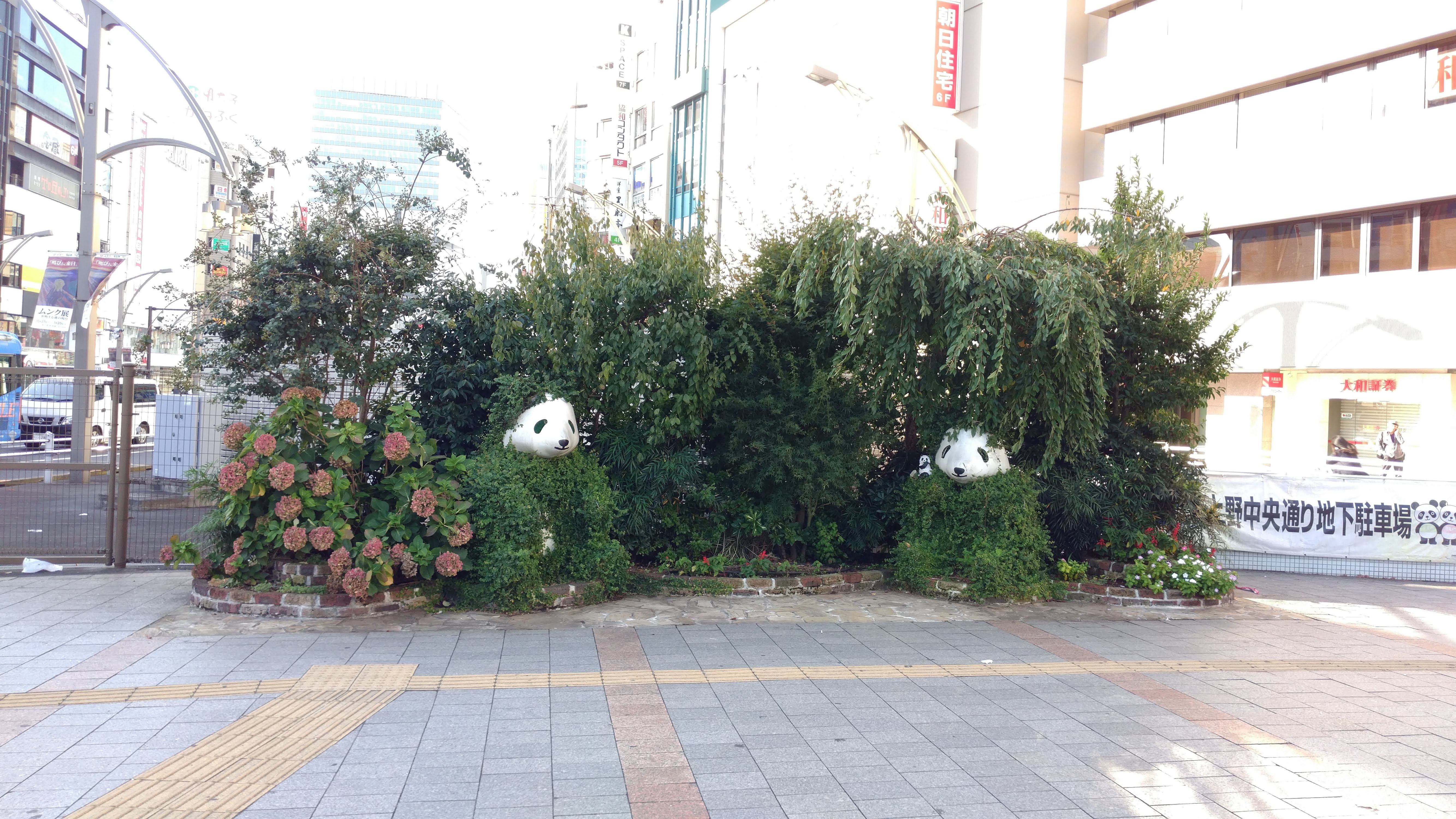 pandas with bodies made of plants in front of a hedge