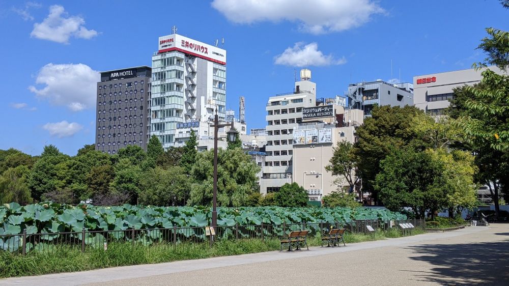 buildings in the distance